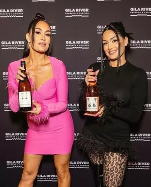 The Bella Twins: / Nikki Bella & Brie Bella / thenikkibella nude photo #0162