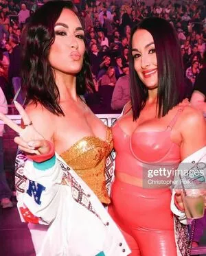 The Bella Twins: / Nikki Bella & Brie Bella / thenikkibella nude photo #0172