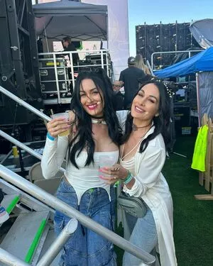 The Bella Twins: / Nikki Bella & Brie Bella / thenikkibella nude photo #0199