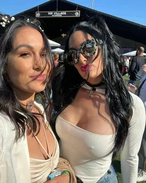The Bella Twins: / Nikki Bella & Brie Bella / thenikkibella nude photo #0200
