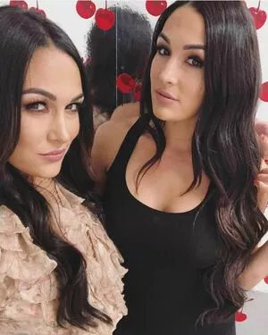 The Bella Twins: / Nikki Bella & Brie Bella / thenikkibella nude photo #0207