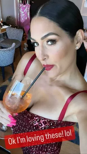 The Bella Twins: / Nikki Bella & Brie Bella / thenikkibella nude photo #0232