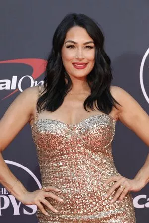 The Bella Twins: / Nikki Bella & Brie Bella / thenikkibella nude photo #0239