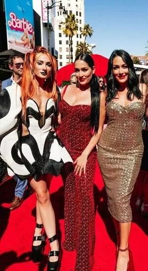 The Bella Twins: / Nikki Bella & Brie Bella / thenikkibella nude photo #0245