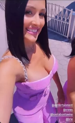 The Bella Twins: / Nikki Bella & Brie Bella / thenikkibella nude photo #0247