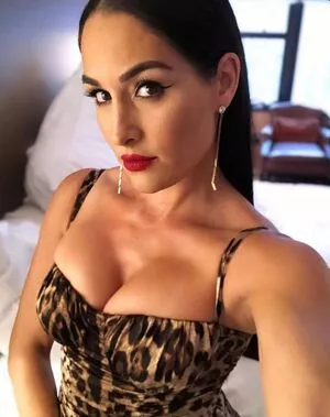 The Bella Twins: / Nikki Bella & Brie Bella / thenikkibella nude photo #0249