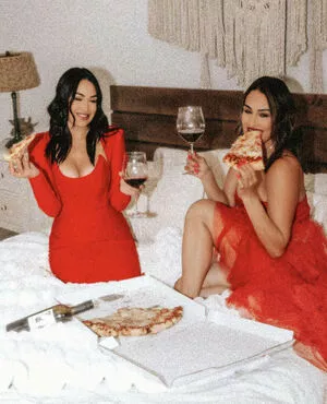 The Bella Twins: / Nikki Bella & Brie Bella / thenikkibella nude photo #0451