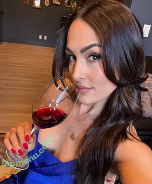 The Bella Twins: / Nikki Bella & Brie Bella / thenikkibella nude photo #0657