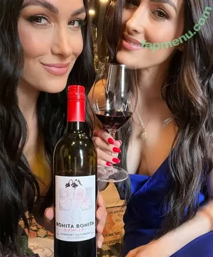 The Bella Twins: / Nikki Bella & Brie Bella / thenikkibella nude photo #0660