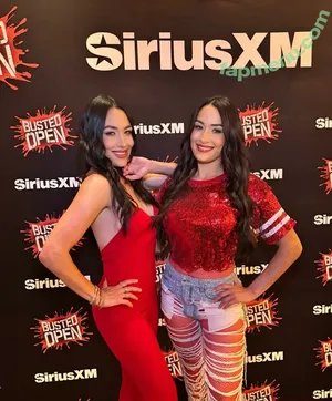 The Bella Twins: / Nikki Bella & Brie Bella / thenikkibella nude photo #0665