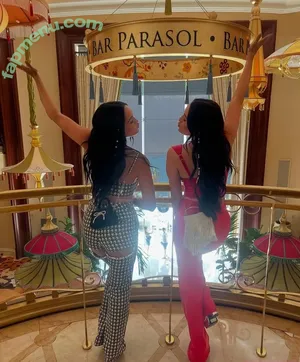 The Bella Twins: / Nikki Bella & Brie Bella / thenikkibella nude photo #0667