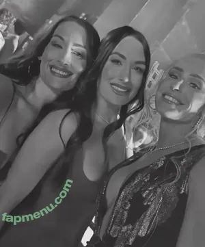 The Bella Twins: / Nikki Bella & Brie Bella / thenikkibella nude photo #0677