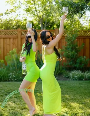 The Bella Twins: / Nikki Bella & Brie Bella / thenikkibella nude photo #0690
