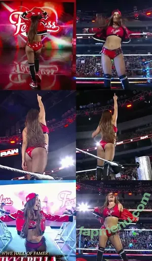 The Bella Twins: / Nikki Bella & Brie Bella / thenikkibella nude photo #0779