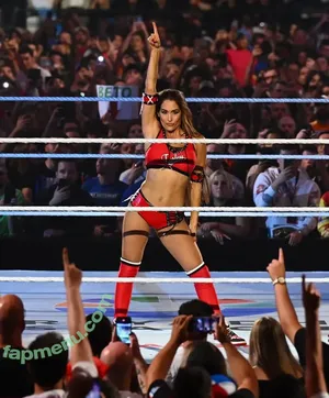 The Bella Twins: / Nikki Bella & Brie Bella / thenikkibella nude photo #0791