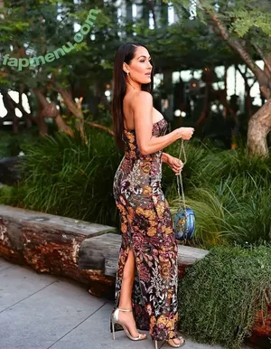 The Bella Twins: / Nikki Bella & Brie Bella / thenikkibella nude photo #0819