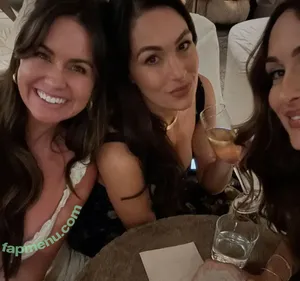 The Bella Twins: / Nikki Bella & Brie Bella / thenikkibella nude photo #0829