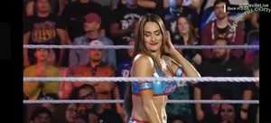 The Bella Twins: / Nikki Bella & Brie Bella / thenikkibella nude photo #0844