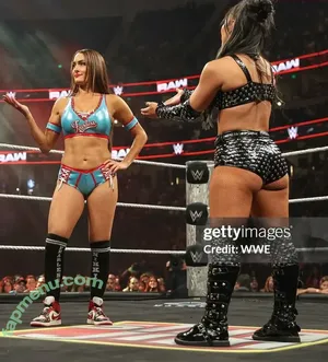 The Bella Twins: / Nikki Bella & Brie Bella / thenikkibella nude photo #0860