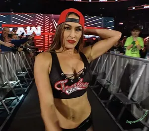The Bella Twins: / Nikki Bella & Brie Bella / thenikkibella nude photo #0928