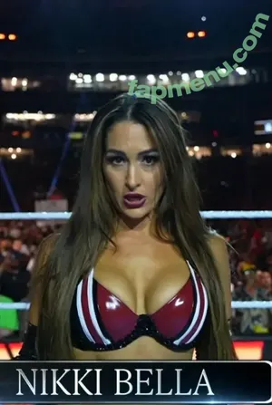 The Bella Twins: / Nikki Bella & Brie Bella / thenikkibella nude photo #0968