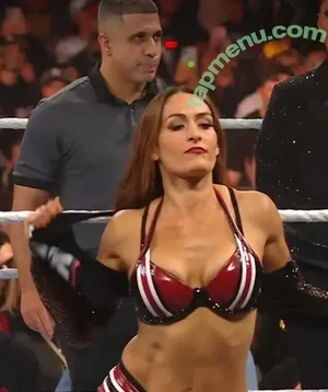 The Bella Twins: / Nikki Bella & Brie Bella / thenikkibella nude photo #0969