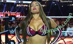 The Bella Twins: / Nikki Bella & Brie Bella / thenikkibella nude photo #0973