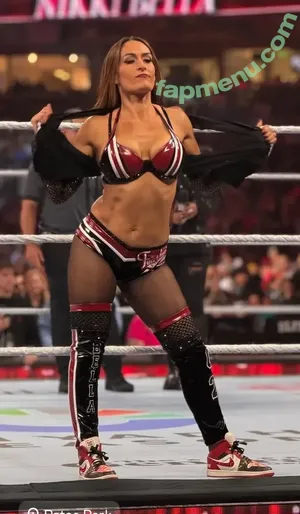 The Bella Twins: / Nikki Bella & Brie Bella / thenikkibella nude photo #0976