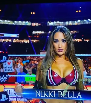The Bella Twins: / Nikki Bella & Brie Bella / thenikkibella nude photo #0982