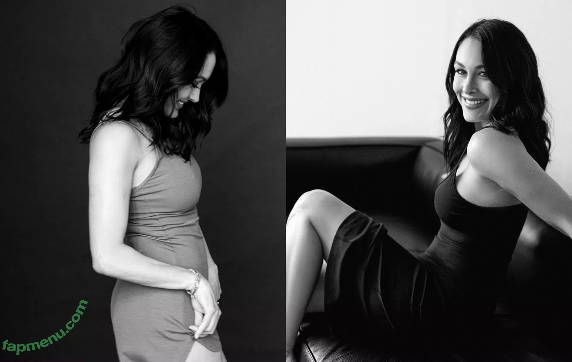 The Bella Twins: nude photo #0204 (Nikki Bella & Brie Bella / thenikkibella)