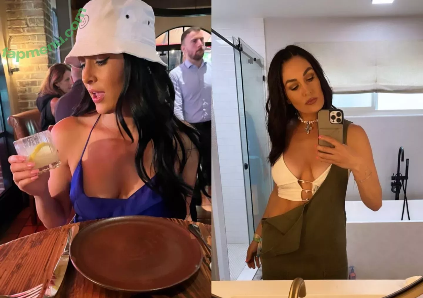 The Bella Twins: nude photo #0206 (Nikki Bella & Brie Bella / thenikkibella)