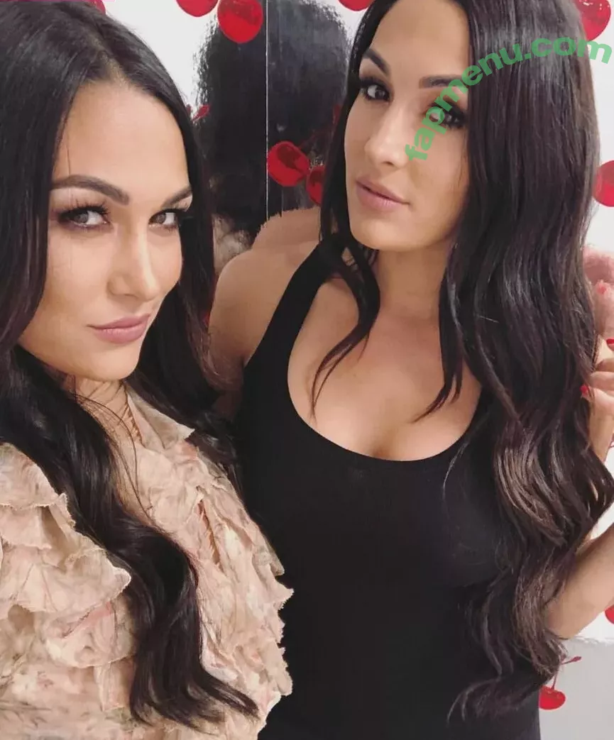 The Bella Twins: nude photo #0207 (Nikki Bella & Brie Bella / thenikkibella)