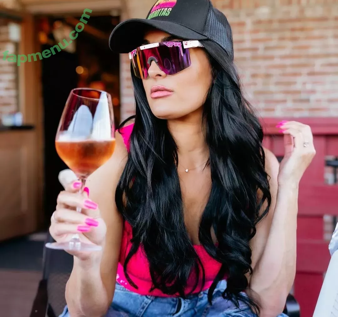 The Bella Twins: nude photo #0227 (Nikki Bella & Brie Bella / thenikkibella)