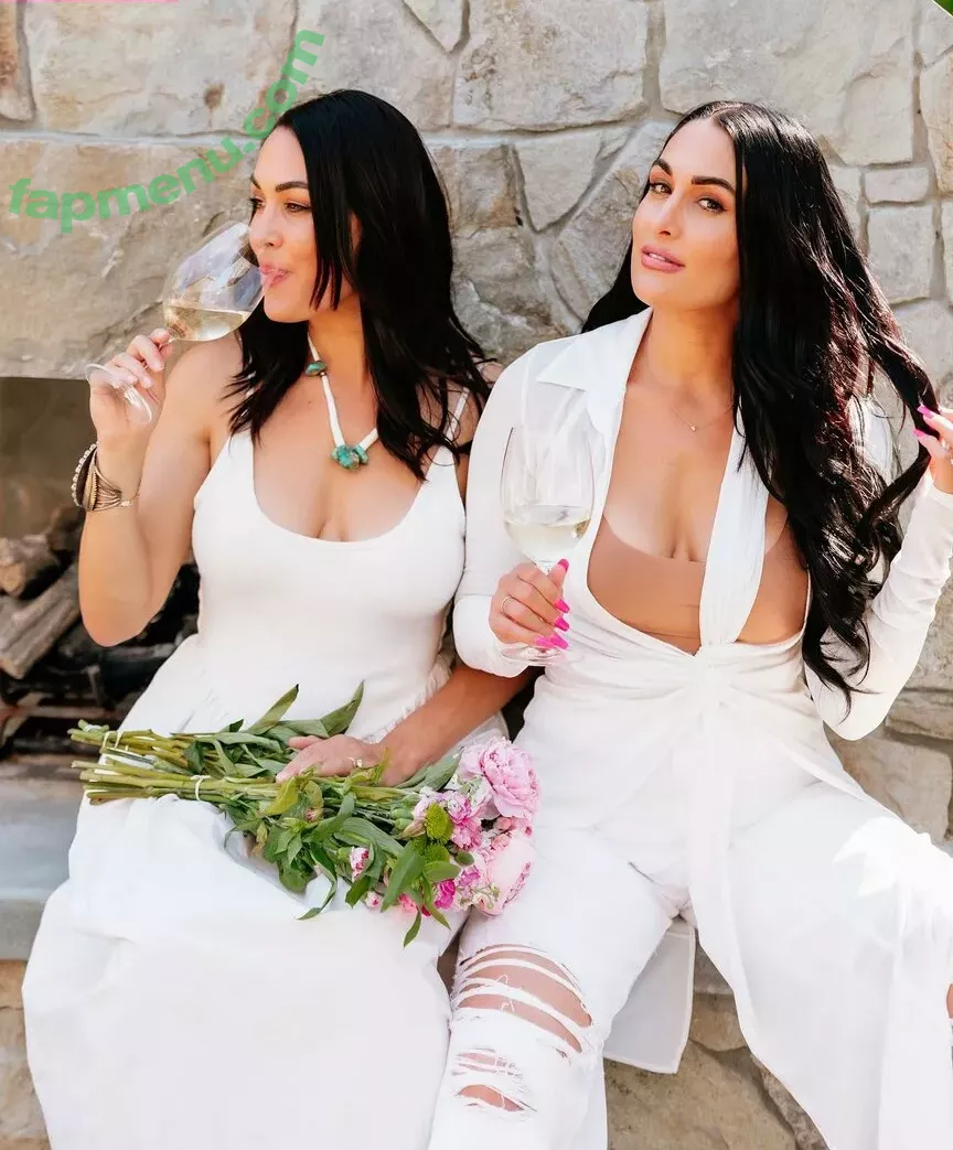 The Bella Twins: nude photo #0228 (Nikki Bella & Brie Bella / thenikkibella)