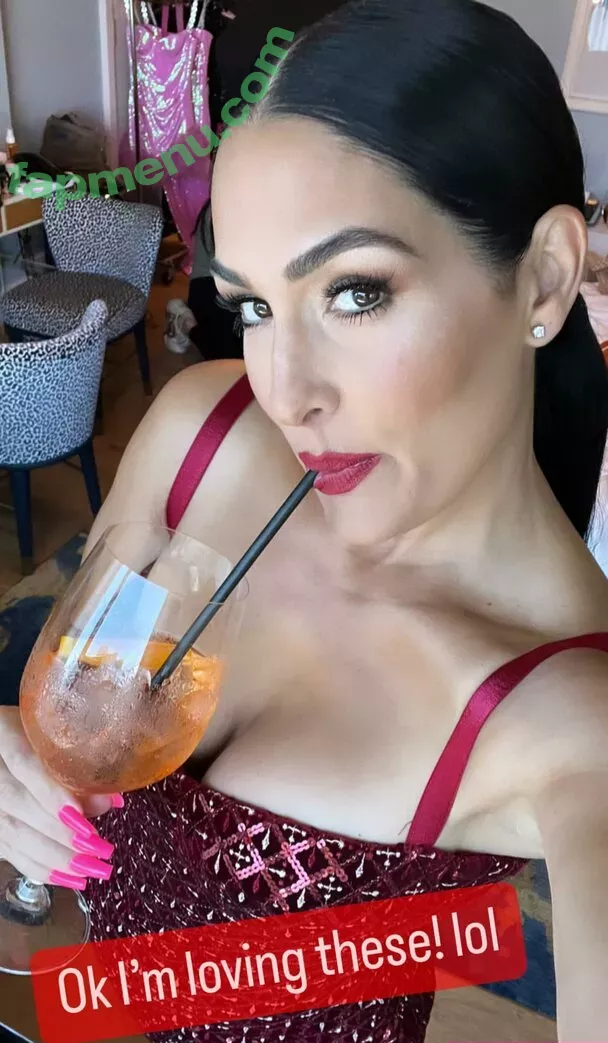 The Bella Twins: nude photo #0232 (Nikki Bella & Brie Bella / thenikkibella)