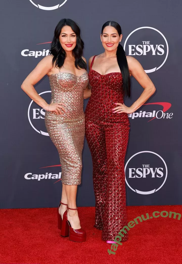 The Bella Twins: nude photo #0241 (Nikki Bella & Brie Bella / thenikkibella)