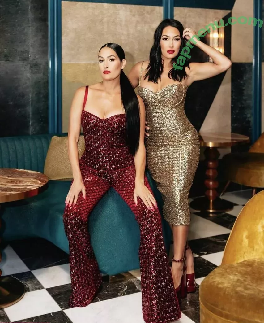 The Bella Twins: nude photo #0242 (Nikki Bella & Brie Bella / thenikkibella)