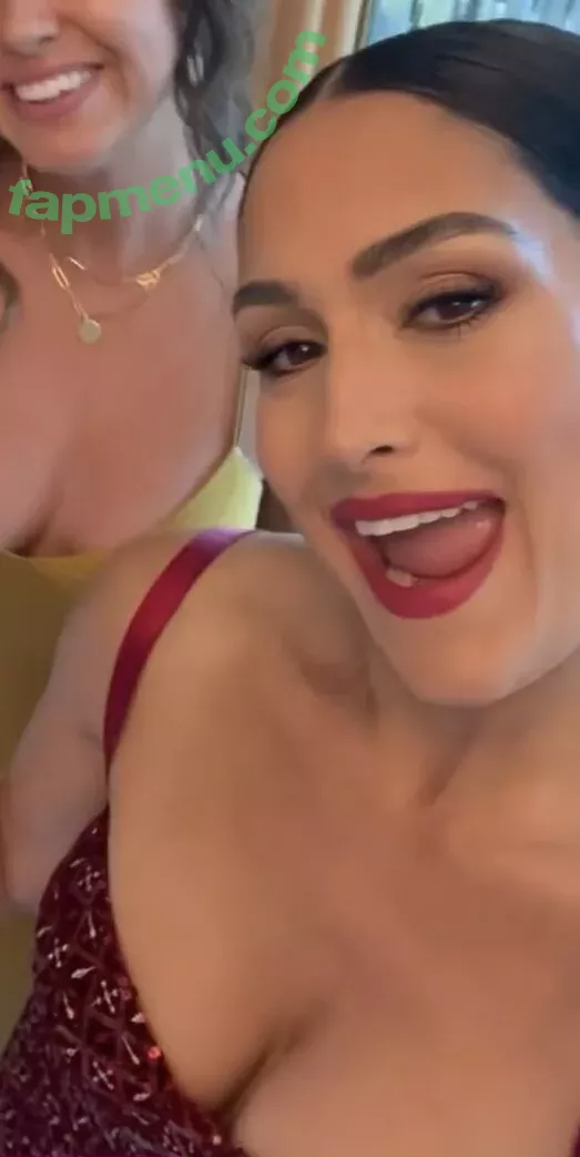 The Bella Twins: nude photo #0243 (Nikki Bella & Brie Bella / thenikkibella)