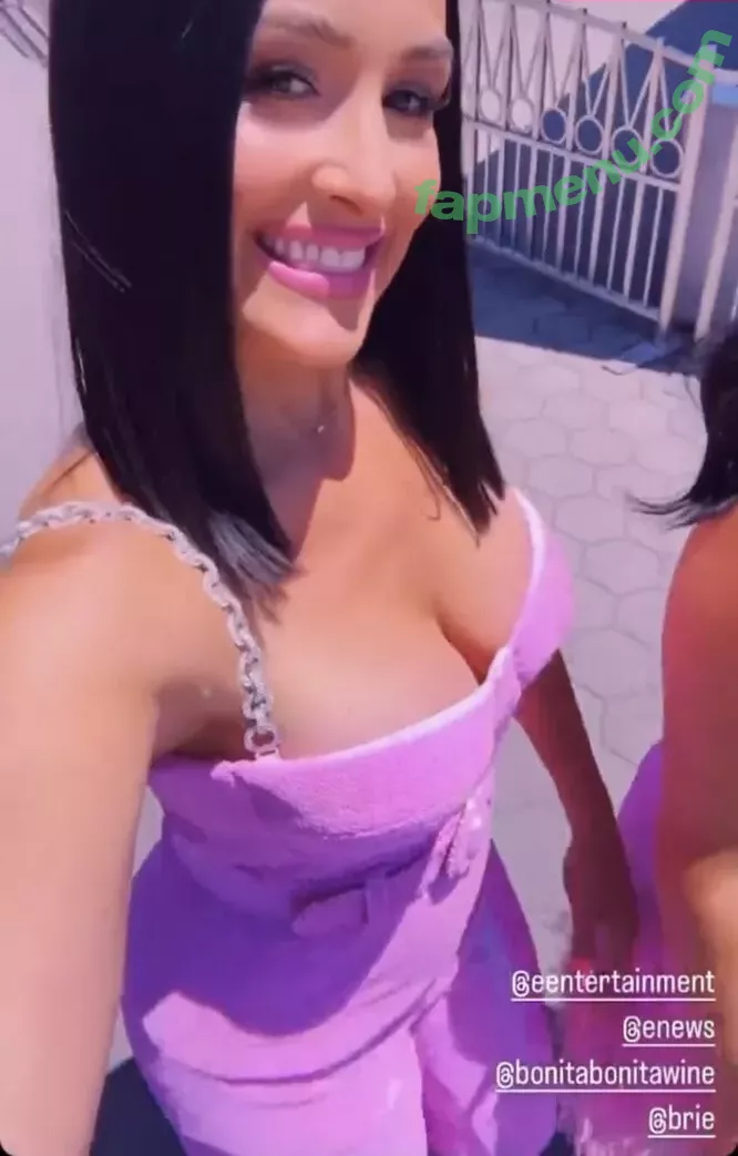 The Bella Twins: nude photo #0247 (Nikki Bella & Brie Bella / thenikkibella)