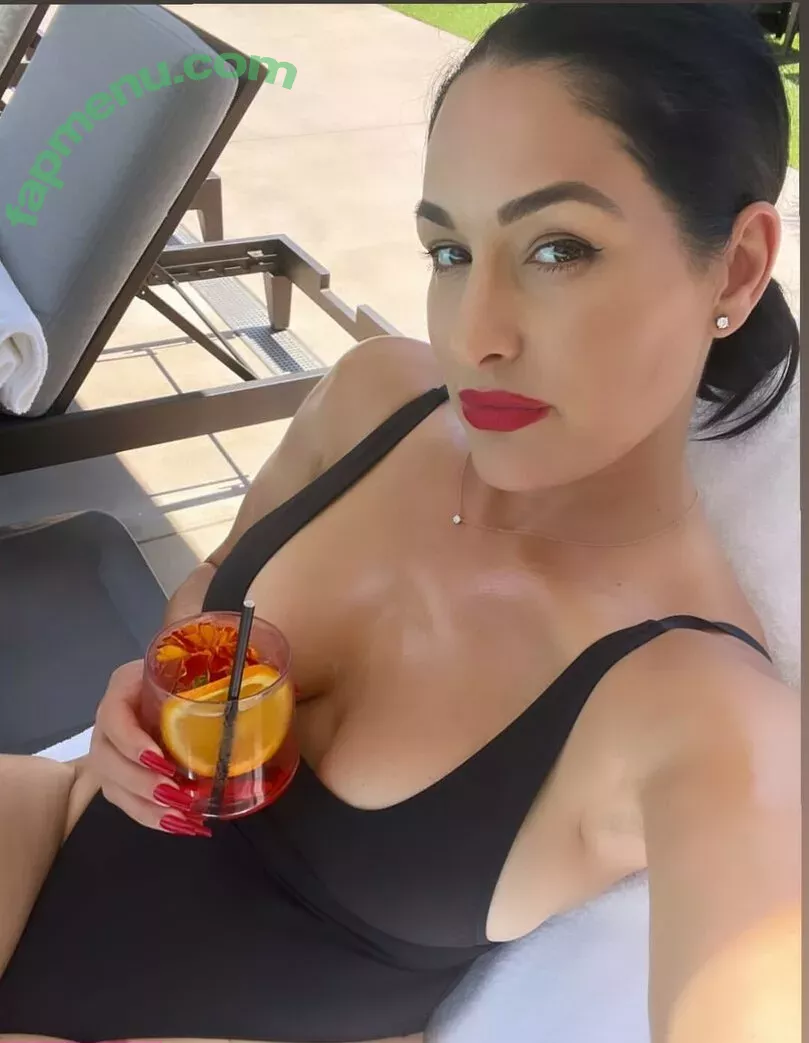 The Bella Twins: nude photo #0255 (Nikki Bella & Brie Bella / thenikkibella)