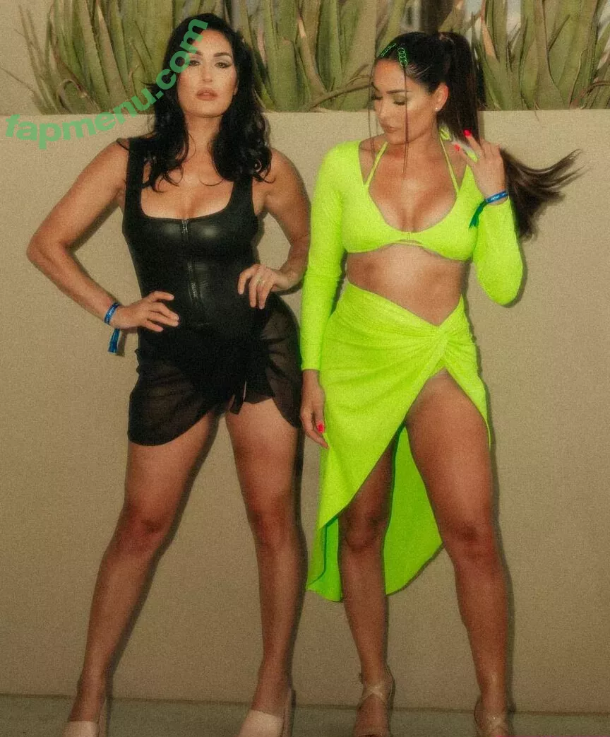 The Bella Twins: nude photo #0292 (Nikki Bella & Brie Bella / thenikkibella)