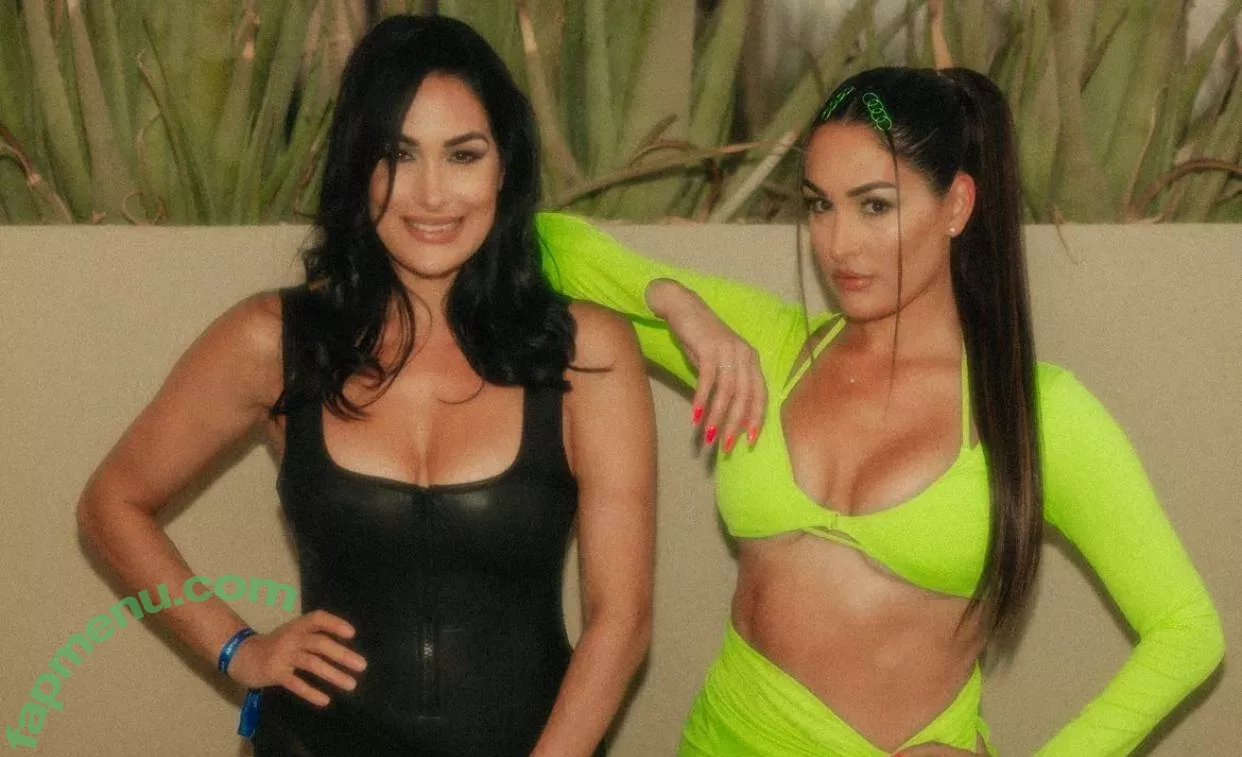 The Bella Twins: nude photo #0295 (Nikki Bella & Brie Bella / thenikkibella)