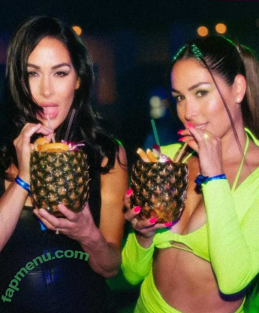 The Bella Twins: nude photo #0299 (Nikki Bella & Brie Bella / thenikkibella)