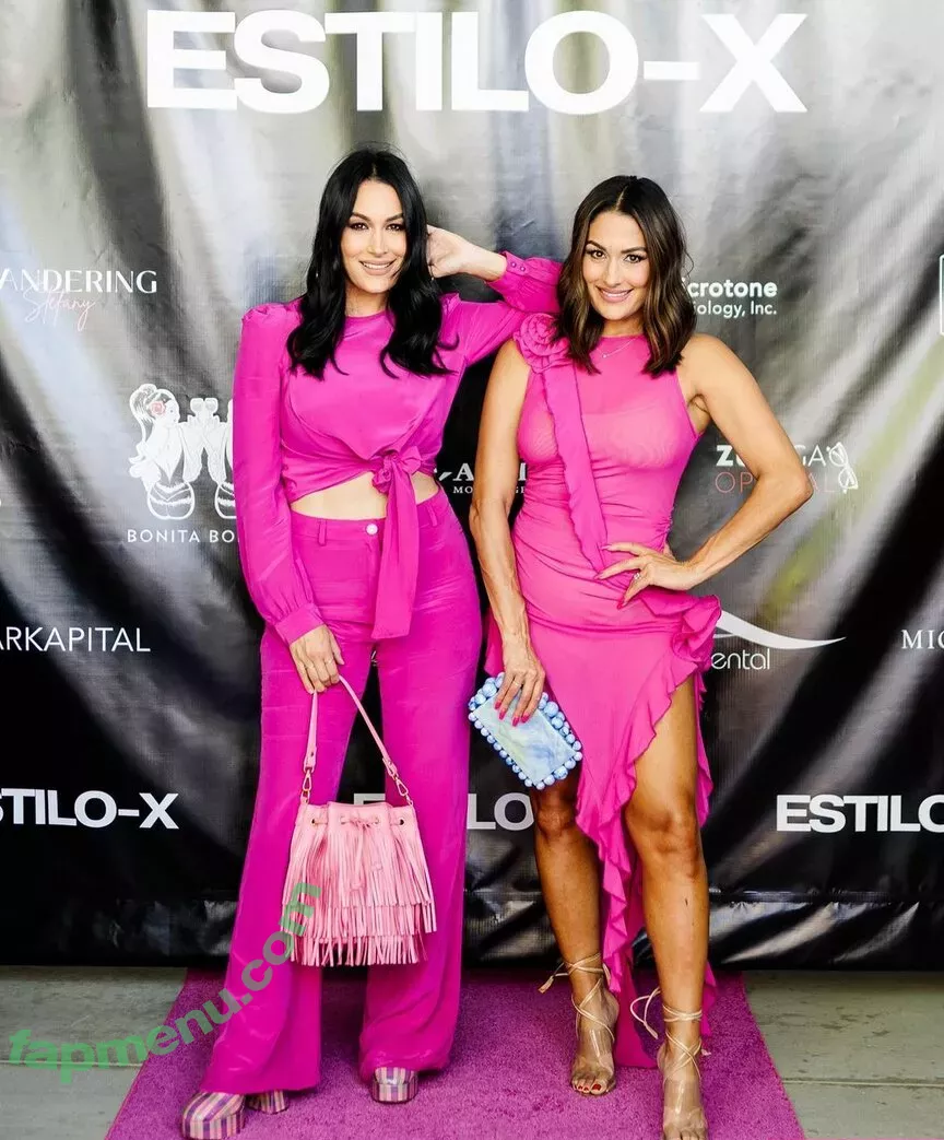 The Bella Twins: nude photo #0318 (Nikki Bella & Brie Bella / thenikkibella)