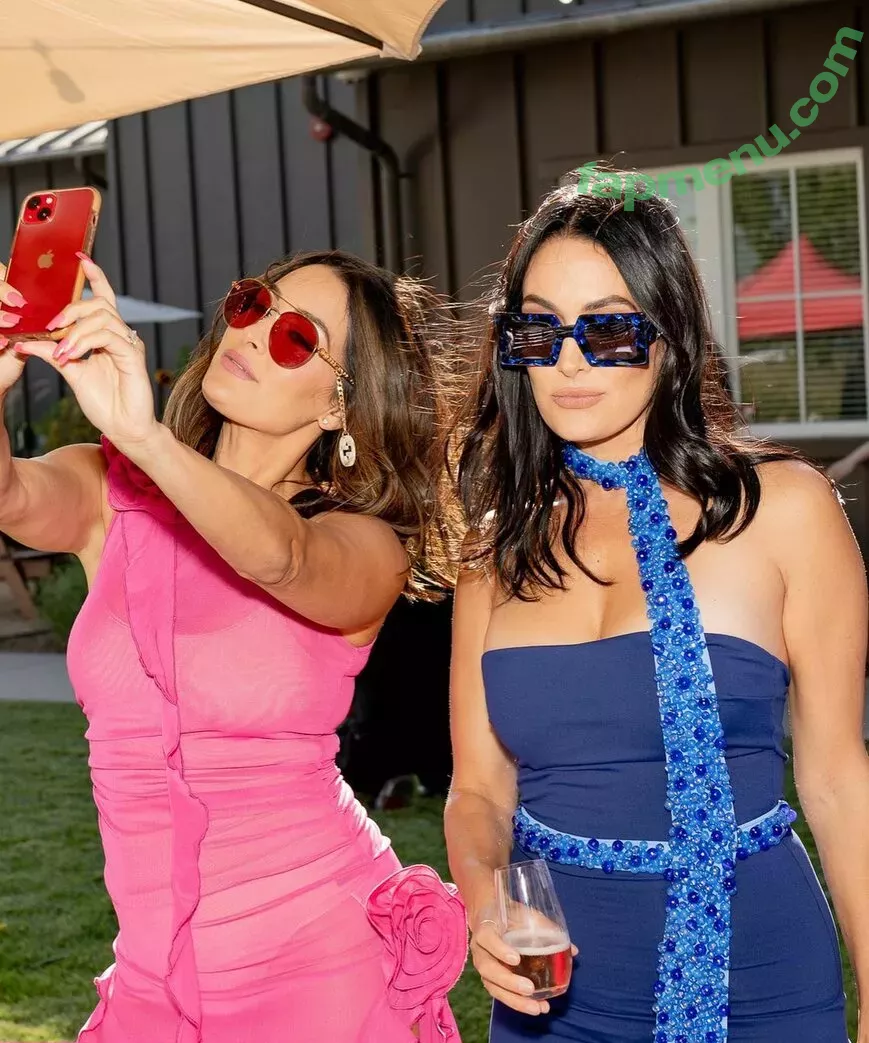 The Bella Twins: nude photo #0320 (Nikki Bella & Brie Bella / thenikkibella)