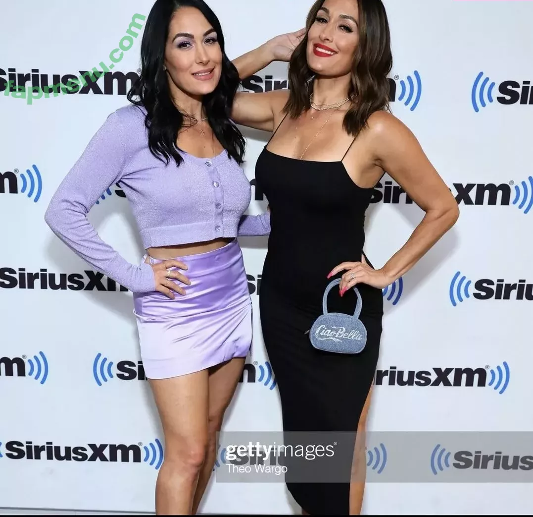 The Bella Twins: nude photo #0333 (Nikki Bella & Brie Bella / thenikkibella)