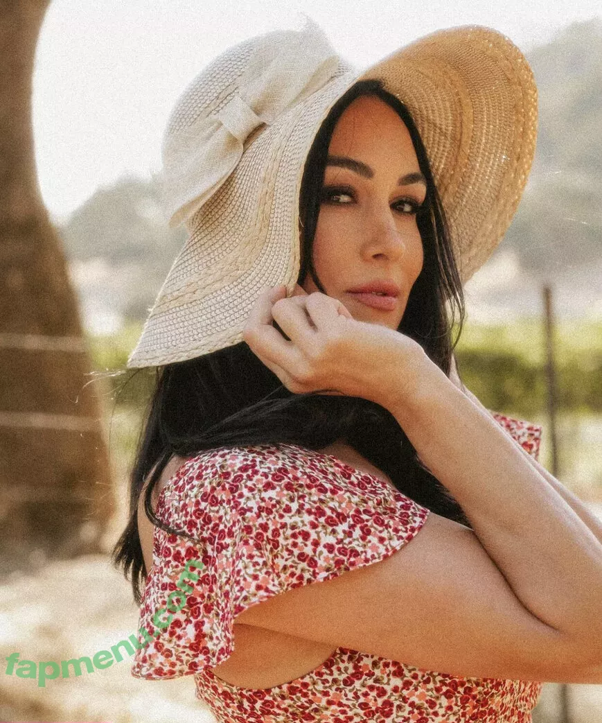 The Bella Twins: nude photo #0358 (Nikki Bella & Brie Bella / thenikkibella)