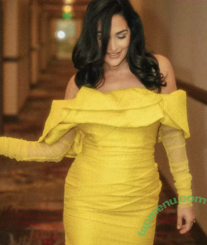 The Bella Twins: nude photo #0375 (Nikki Bella & Brie Bella / thenikkibella)