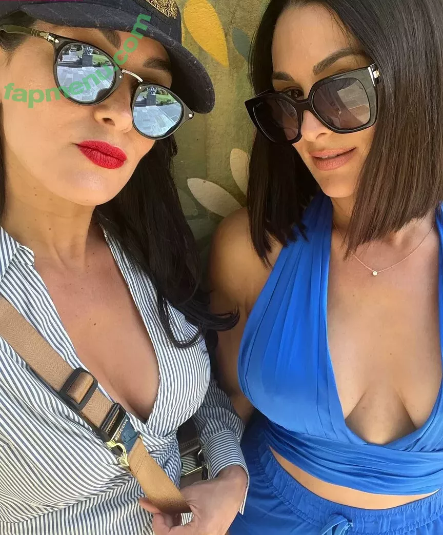 The Bella Twins: OnlyFans Leak: Nude photo #