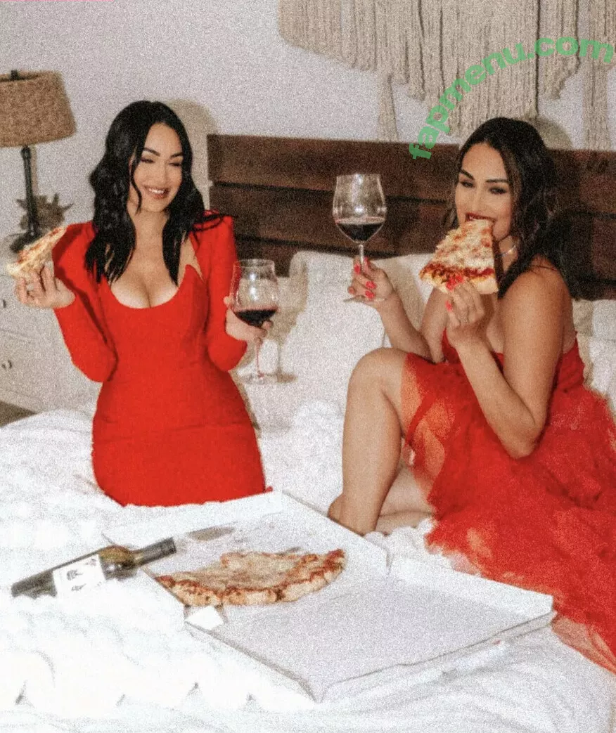 The Bella Twins: nude photo #0451 (Nikki Bella & Brie Bella / thenikkibella)